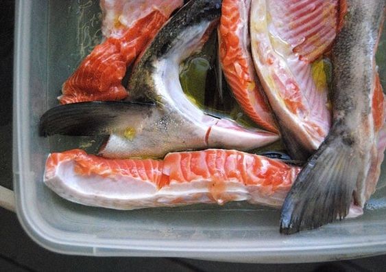 三文魚麵豉湯