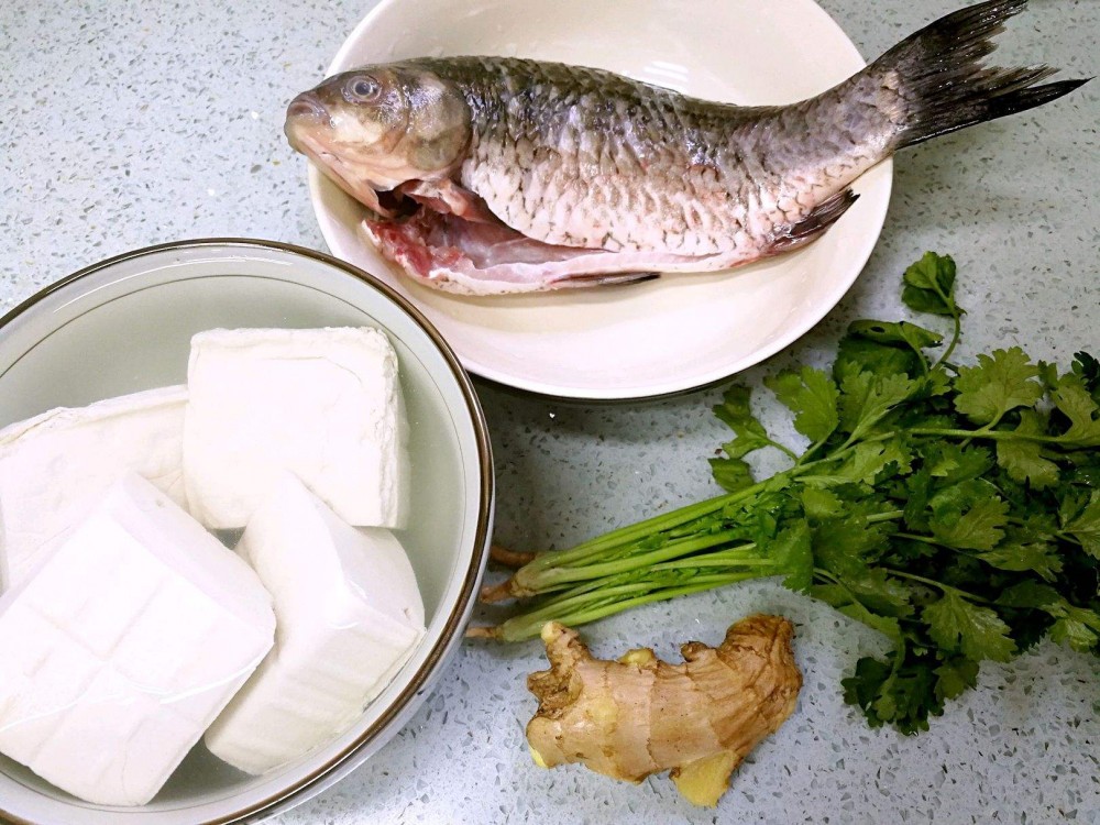 鯽魚豆腐湯