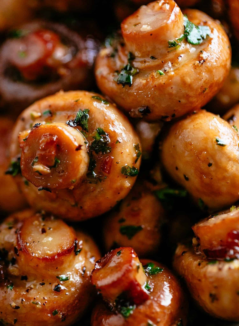 mushroom1