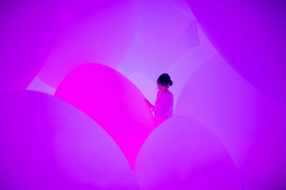 無重力生命的森林01