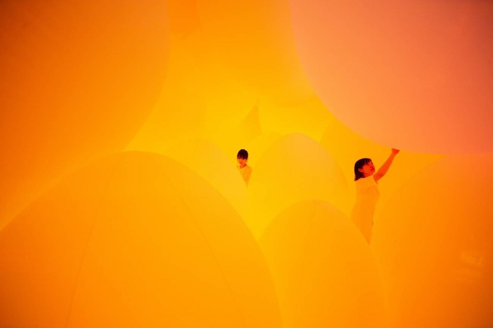 無重力生命的森林03