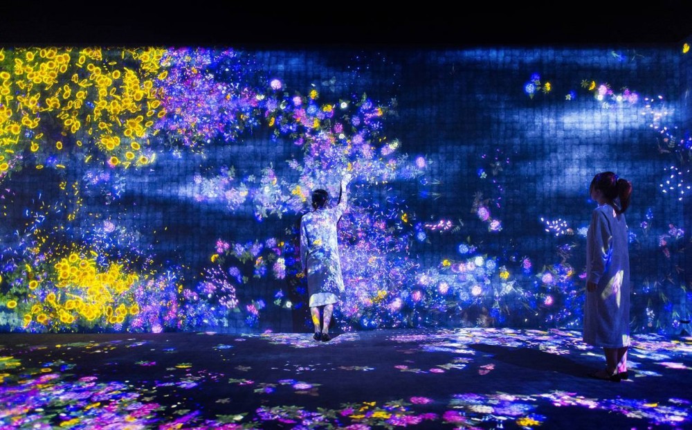 花與人的森林:迷失、沉浸與重生02