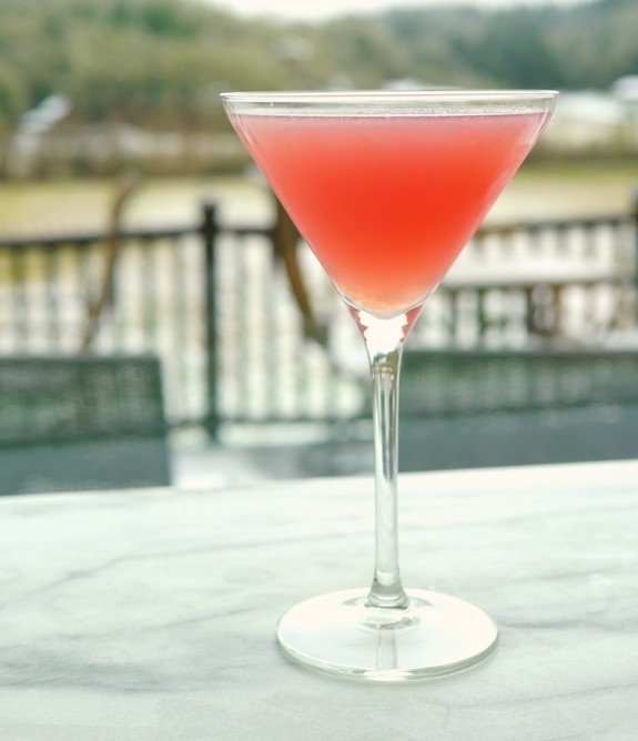 蔓越莓馬丁尼Martini1