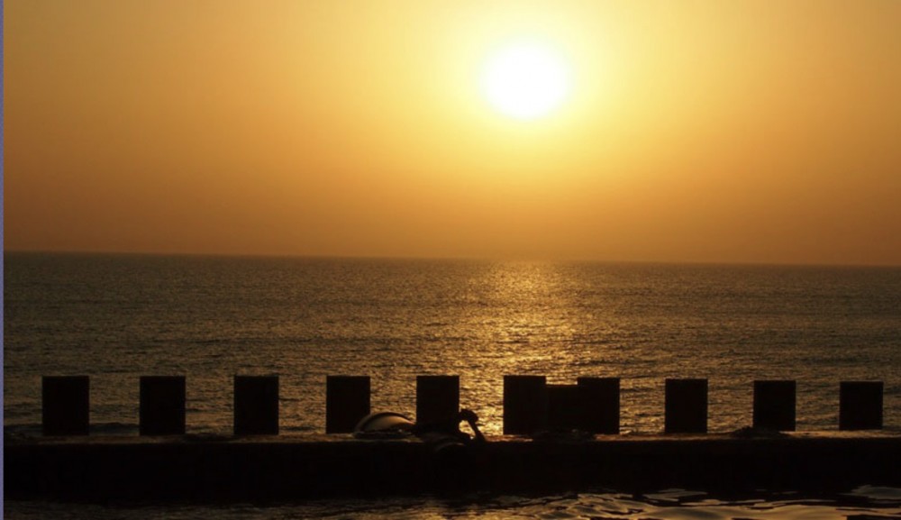 螢幕截圖 2019-05-09 下午12.02.50