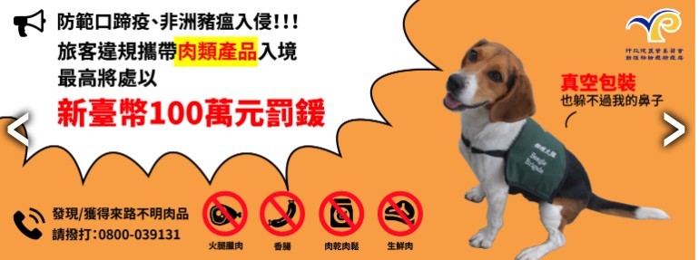 非洲豬瘟