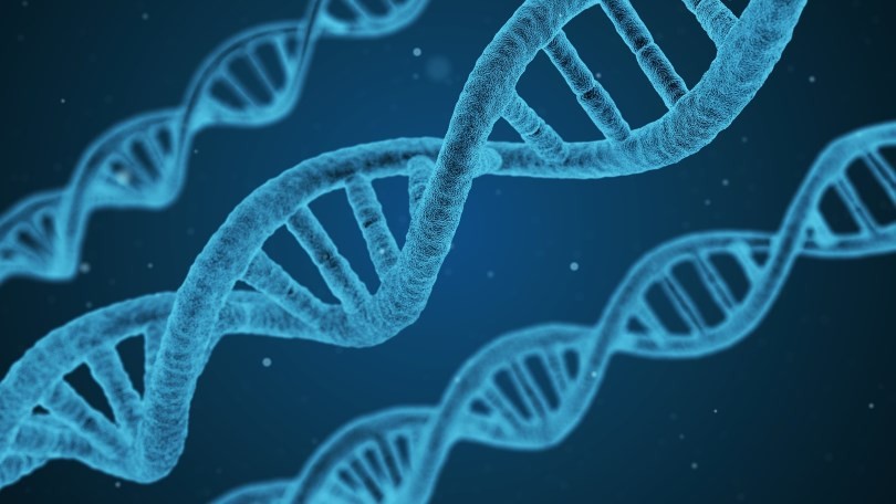 中大研究指,DNA端粒短糖尿患者易末期腎衰竭,每縮短1單位風險高20%。
