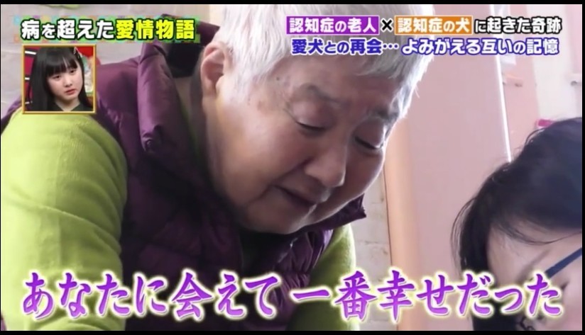 【認知障礙症】婆婆與柴犬雙雙患病 忘了一切卻不忘對方
