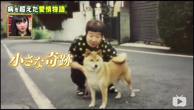 【認知障礙症】婆婆與柴犬雙雙患病 忘了一切卻不忘對方