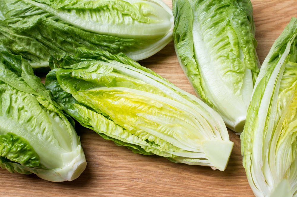 lettuce