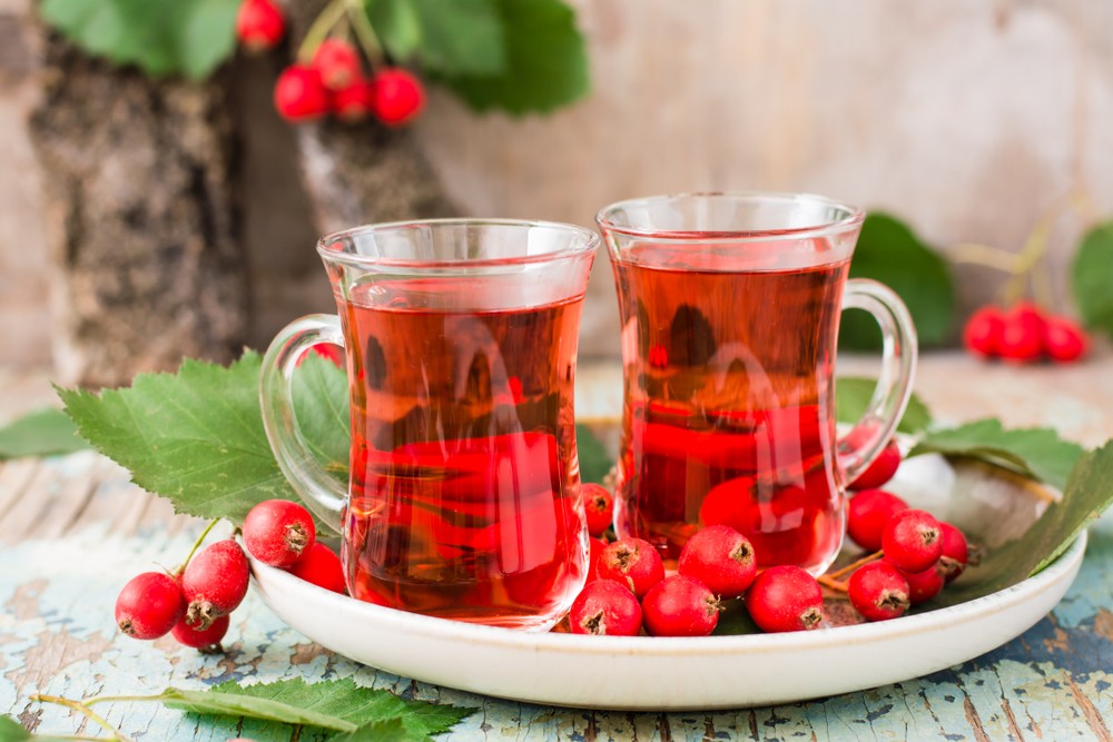 shutterstock_1200519445