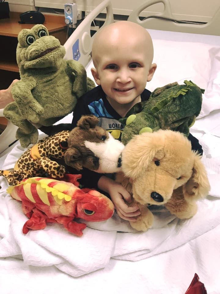 16425982_1832967143624481_8465721120647994852_n