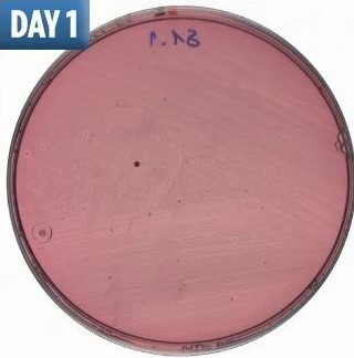 4fd7953fb3f4243079ed51ce7b6ce67b