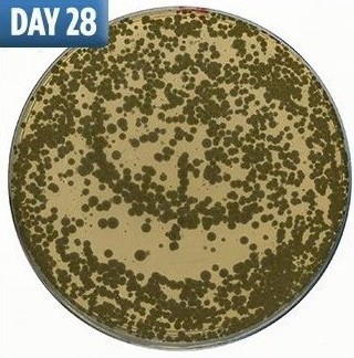 b5dd7b48bf05f20759f53ab48871ba9a