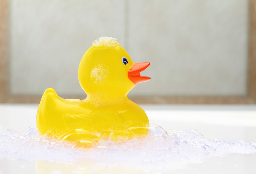 duck