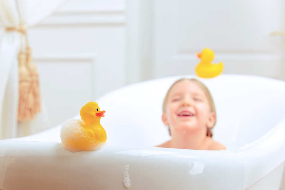 duck