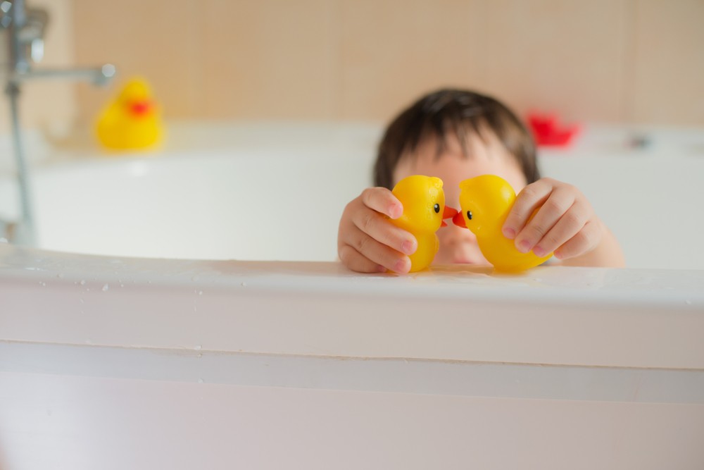 duck