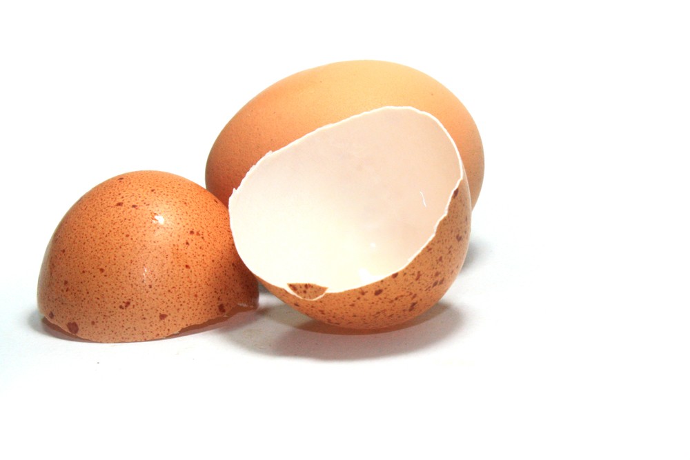 eggshell