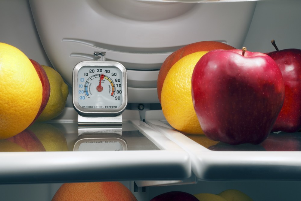 fridge