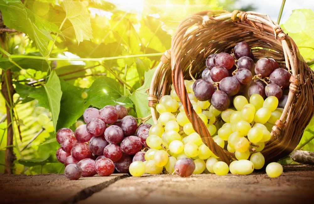 grape