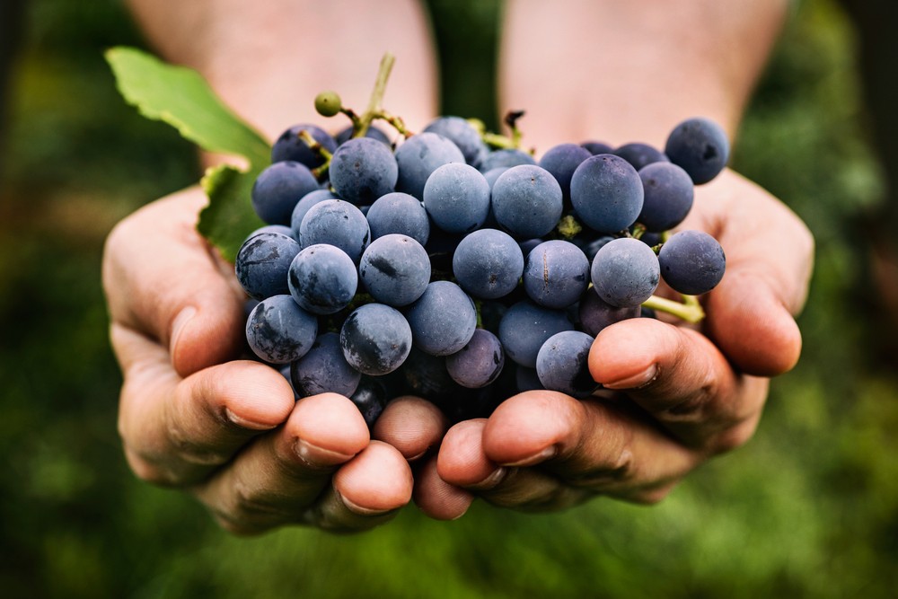 grape