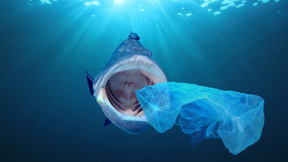 plastic