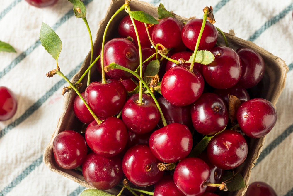 shutterstock_1153781719