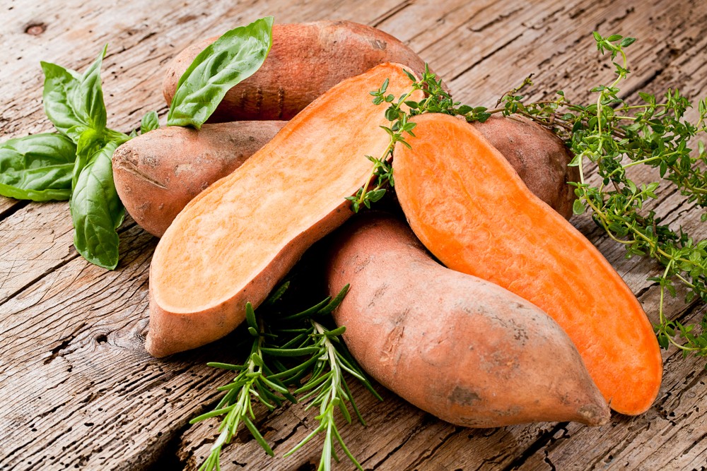 shutterstock_1169897428