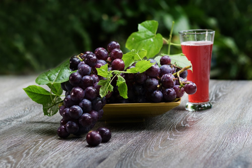 shutterstock_1183769095