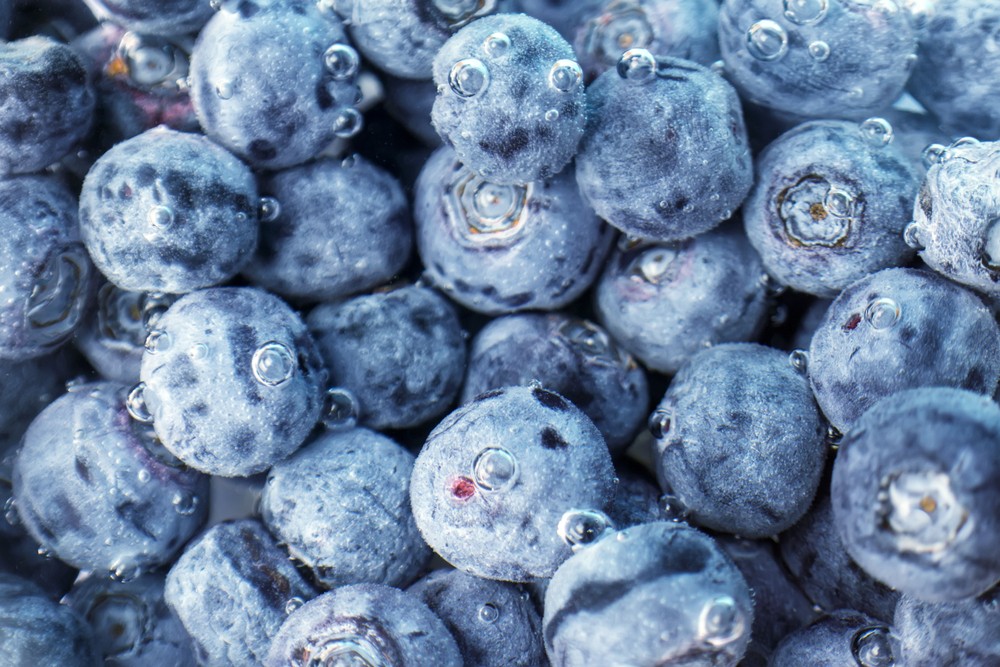 shutterstock_1382713265