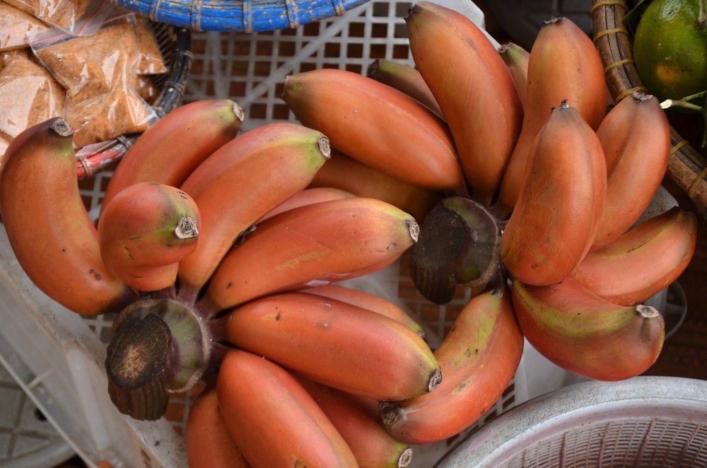 shutterstock_1399424555