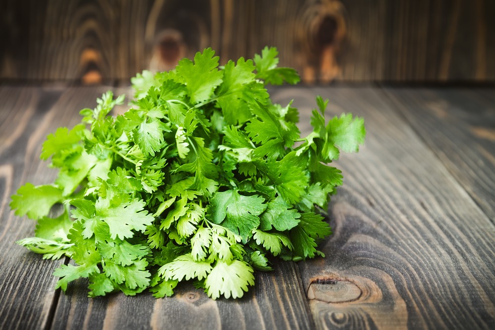 shutterstock_446722957