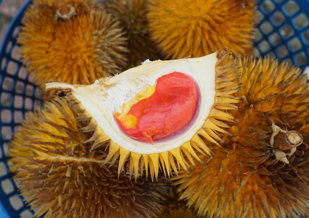 shutterstock_796908577