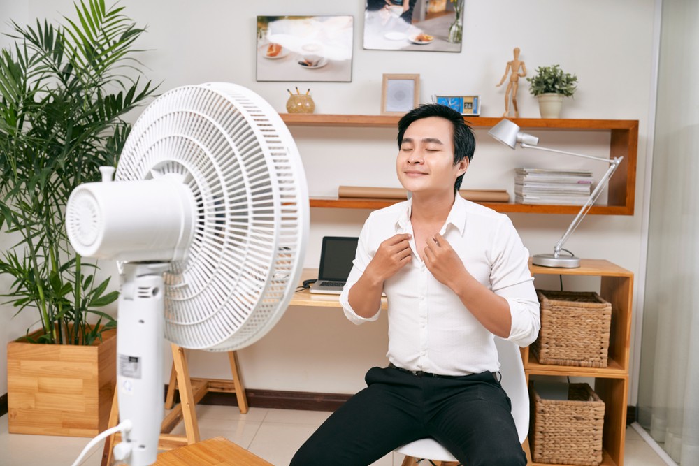 fan
