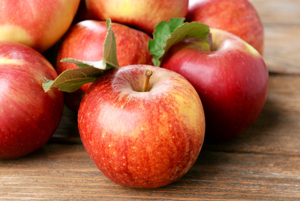 shutterstock_226100671