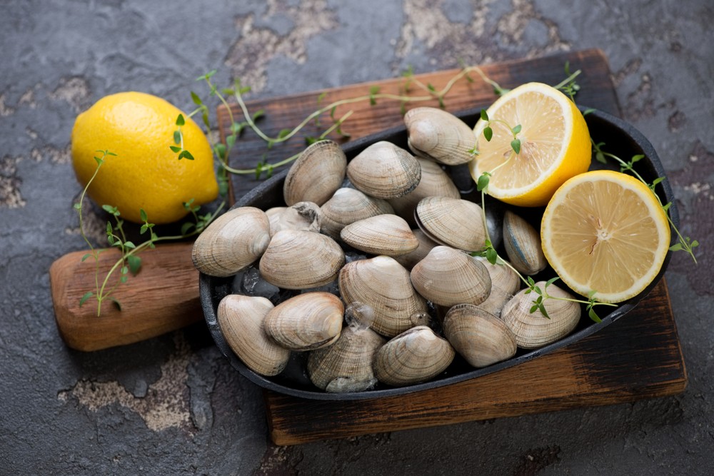 shutterstock_772394509