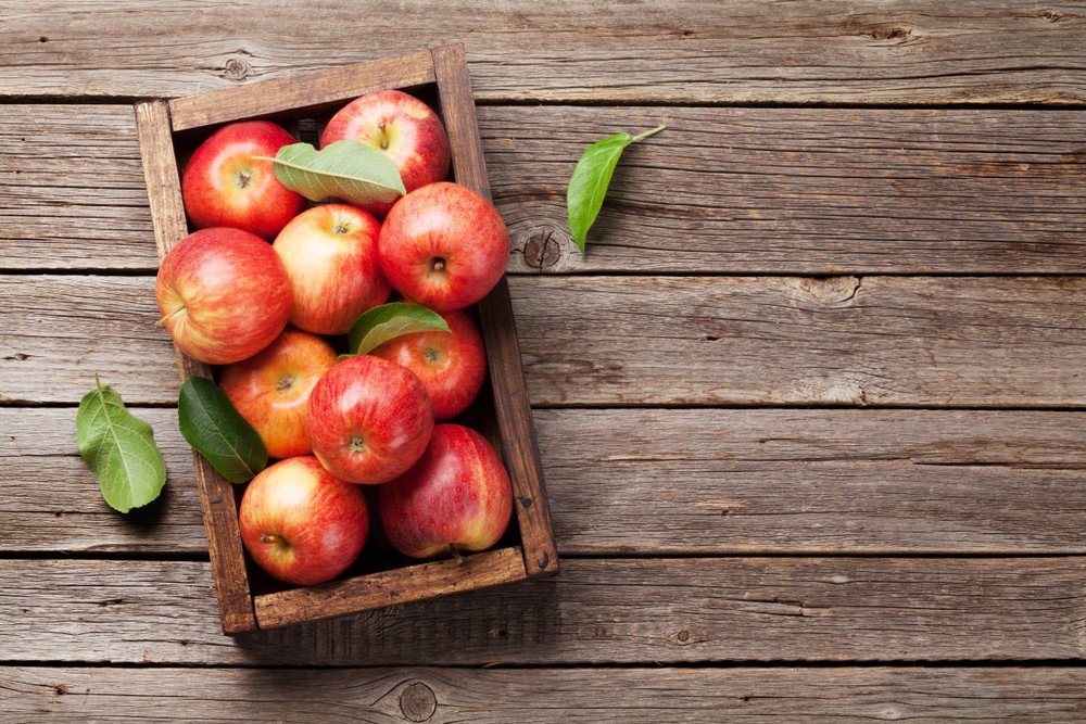 shutterstock_1115705399