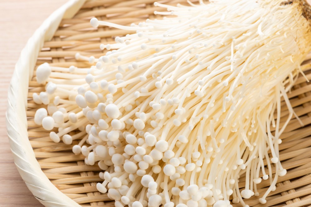 shutterstock_1130748329