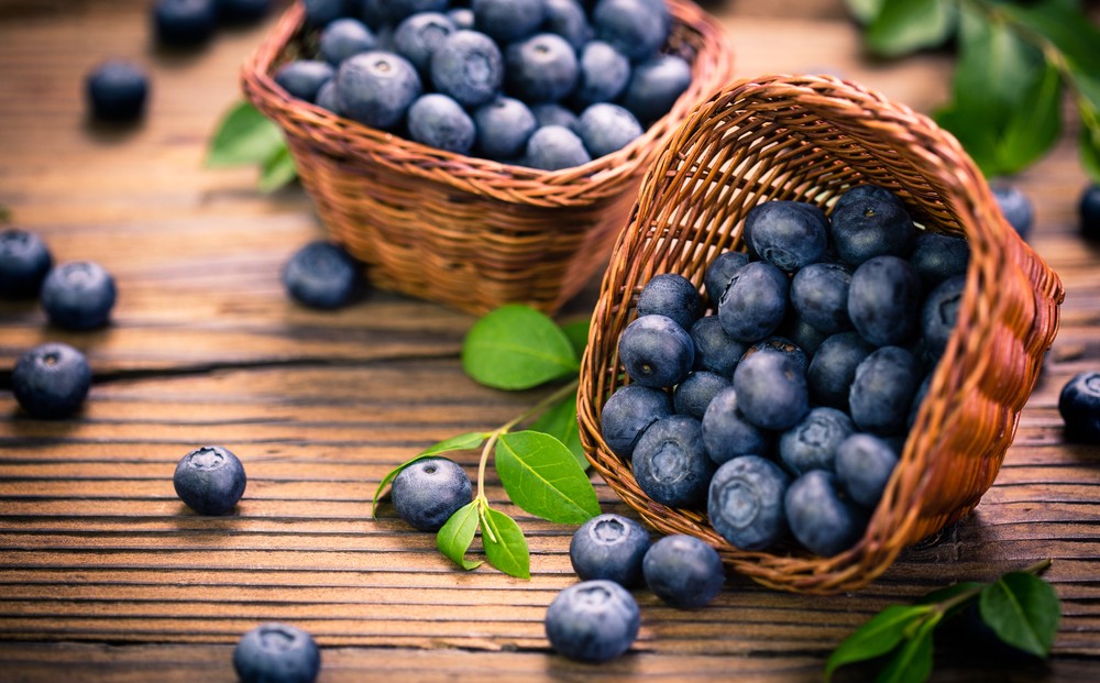 shutterstock_662033851