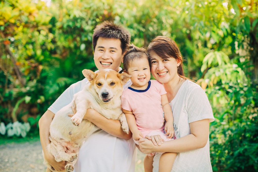 來養狗就可減低所有死亡率24%,而對曾心臟病發或中風人士,更為有益,心血管疾病導致的死亡率可減低31%。