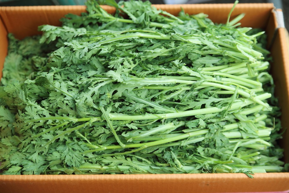 被驗出山茼蒿農藥超標是台中市北區「海底撈」火鍋店。