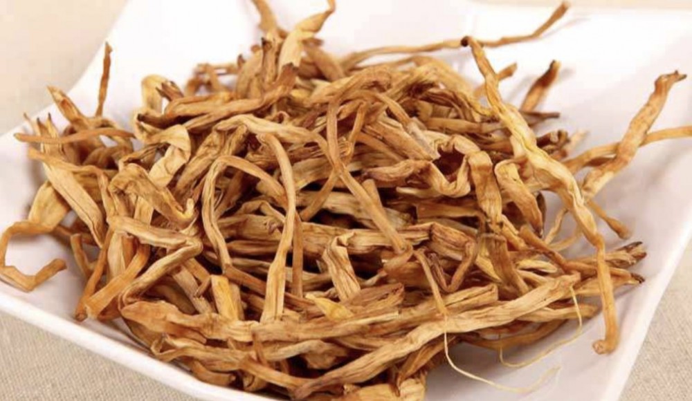 在這個鬱鬱不歡的秋季，適合食用的忘憂草。