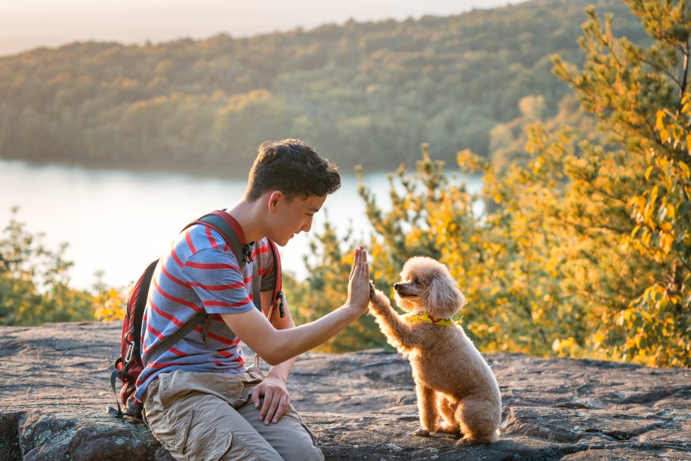 不過根據美國疾病管制與預防中心的資料，研究顯示，養狗可減低壓力，促進放鬆，並影響幾乎每個人生階段，或有助改善死亡率。