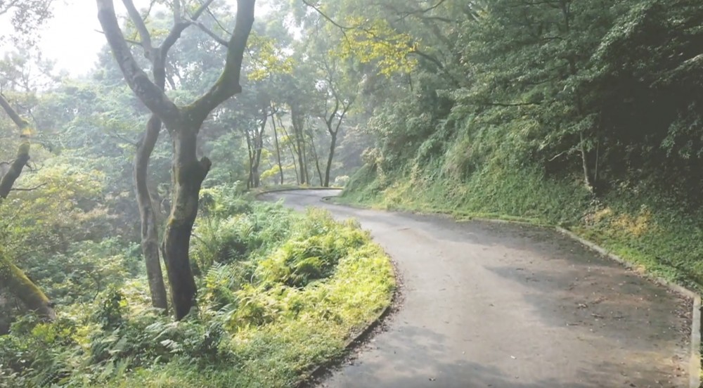 第九段走過位於大欖郊野公園內、荃錦公路以西的山脈群。