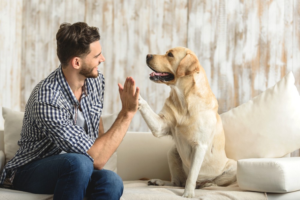 狂犬病的致病原是一種桿狀病毒, Lyssavirus屬。而所有這一屬的病毒抗原都相近,不過使用單株抗體或核酸排序,可以區別源自不同地區或動物的病毒。