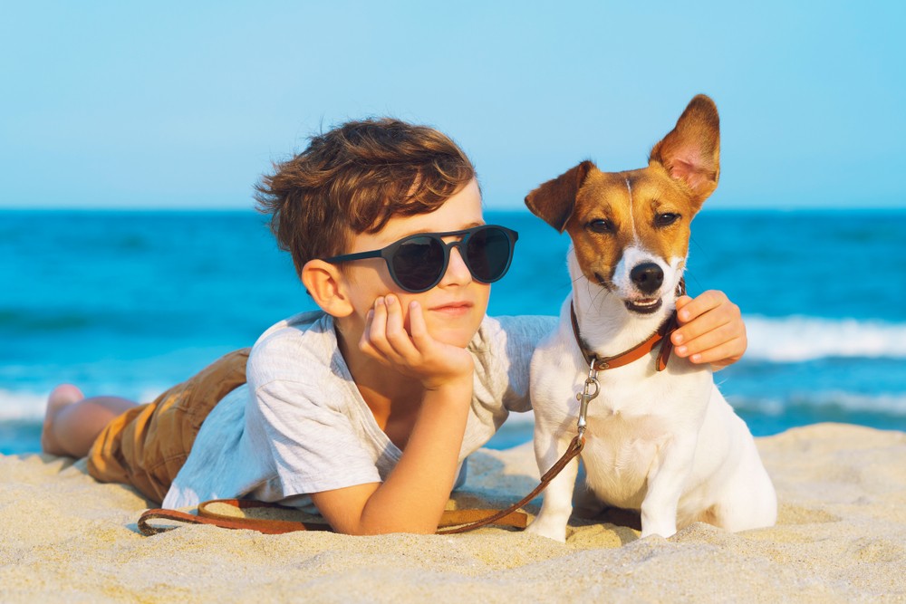 ,狗主一定要為自己的狗隻領取牌照,並接種狂犬病預防疫苗。