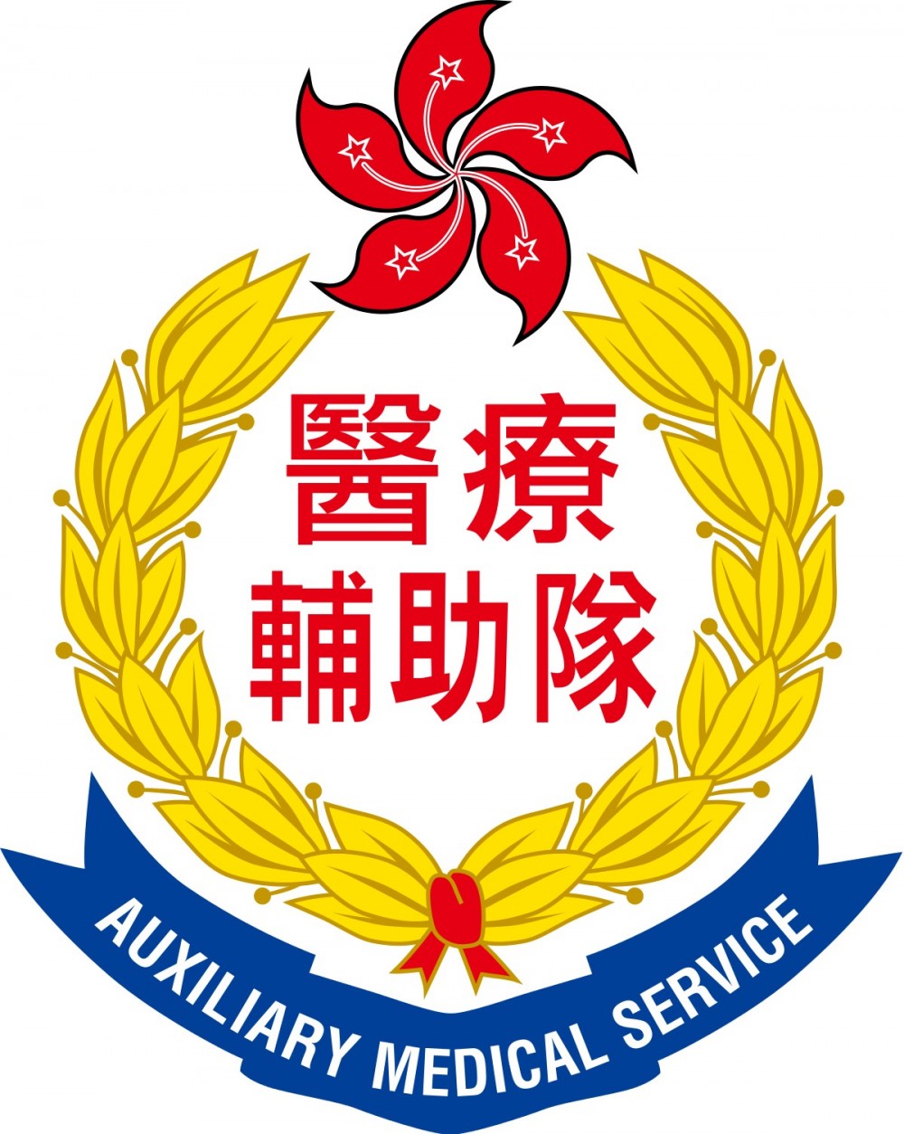 醫療輔助隊成立於1950年,由一班公私營醫療界別工作的醫療專業人員志願組成。