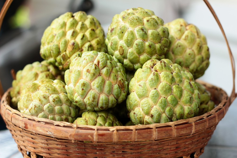 【釋迦益處】台灣釋迦最出名?釋迦9大好處、盛產地、保存方法
