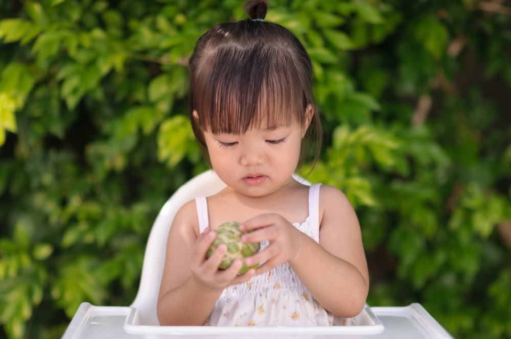 釋迦因幼果的外型像荔枝,又名「番荔枝」,而成熟的果實形似釋迦牟尼佛的頭型,因此也被稱為「佛頭果」。