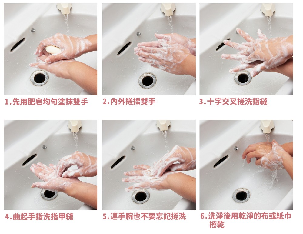 簡單6步驟學習如何正確洗手。