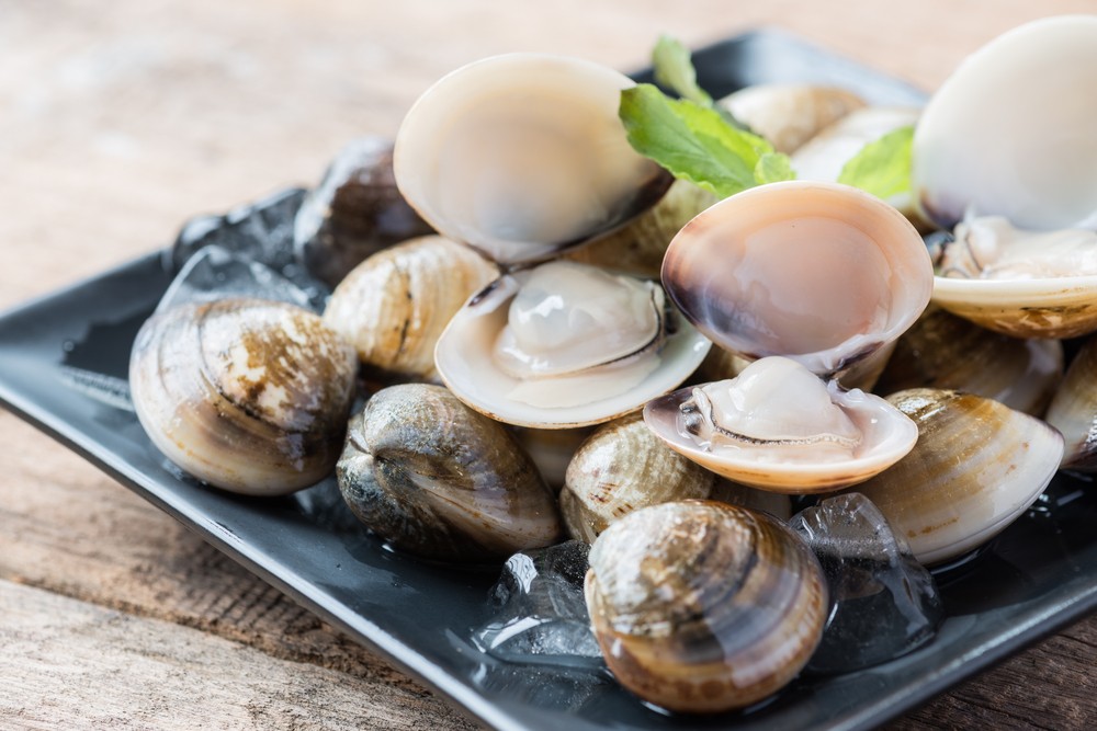 100克熟蜆有27.9毫克鐵質。